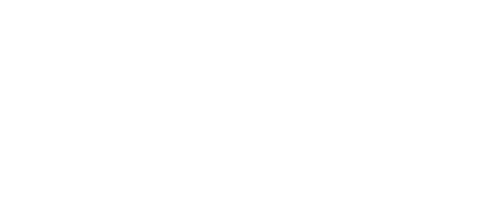 AllMirror Logo